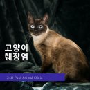 회원종합동물병원 이미지
