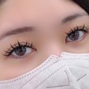와이래쉬 네이버블로그