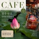 루나 - 김해시 활천로255번길 46 | 청주 장암동 연꽃방죽 데이트 카페 루나 힐링 후기