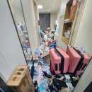 신일특수가스 | 경기 수원시 6평 원룸 쓰레기집 청소 후기 - 신분증 찾기부터 특수청소까지