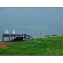 화순목장 이미지