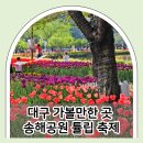 과학관사거리 공원방면 | 대구 가볼만한곳 송해공원 튤립 축제 옥연지 나들이