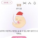 정지영산부인과의원 | [임신기록] 6주 0일차 : 김건우 산부인과 초진, 임신확인서/임신부 보건소(임신축하선물)