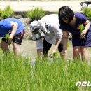 따오기품은 세진마을 이미지