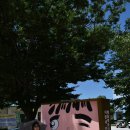 매화면사무소 이미지