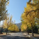 (주)해피로드 이미지