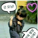 반려동물 수제간식 이미지