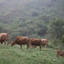 길자농장 이미지