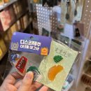 아일랜드프로젝트성산점 | 태교여행) 성산일출봉근처 숙소, 제주 휘닉스 플레이스 캠프 1박 2일 후기