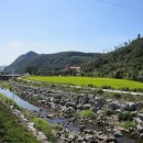 신덕면사무소 이미지