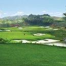 골든비치 이미지