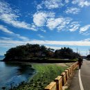 남파랑길 28코스(용남생활체육공원~남망산공원입구)를 걷다 이미지