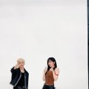 센터마크 이미지