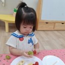 이레어린이집/이레유치원 네이버블로그