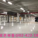 솔로몬공인중개사사무소 이미지