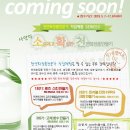 새롬화장품