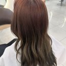 디자인커런트 | 블랙커런트 염색 후기 | 목포미용실 217헤어살롱하당점