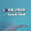 고래상어
