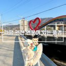 연못이 있는 풍경 | 가평펜션 추천 연못이 있는 풍경 고양이 강아지 짱귀여움