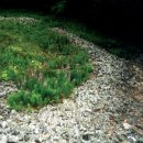 옛고구려 이미지