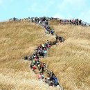 제351회 정기산행 강원 정선 민둥산(1,118m) 억새산행(2019. 10. 12.) 이미지