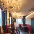 루원 센트럴 동물의료센터 | 말티푸 1살 남아 잠곡고환 중성화수술 <루원 센트럴동물의료센터> 후기