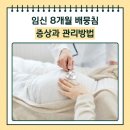 임신 중후기 28~31주 8개월차 배뭉침 증상과 관리방법