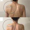 수원-1478 이미지