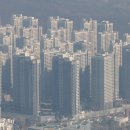 주공부동산중개사무소 이미지