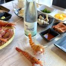 천금 | 울릉도 저동항 근처 독도새우 맛집 천금수산 내돈내산 후기