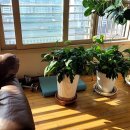 성현동-1 이미지