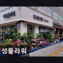 월드프라자 | [대전 꽃집] 대성플라워 싱싱함과 친절함이 돋보인다