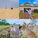 포트민 | 시드니 자유여행 중 만족도 높았던 민투어(포트스테판 사막썰매, 오크베일 동물원) 두번째 포스팅