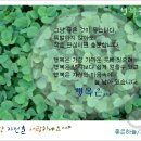 등/클 제22차 월출산 국립공원 정기산행[03/09둘째일요일] 이미지