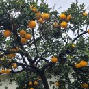 좌기동경로당 이미지