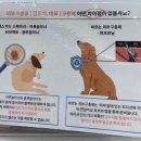 고은가스