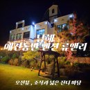 첼로 (행복한 첼로) | [남해 펜션] 류앤리 펜션｜애견동반 첼로방, 잔디 마당과 오션뷰 조식까지 완벽했던 쉼