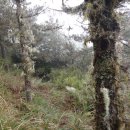 설산농장2 이미지