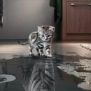 JMT 정무태권도장 이미지