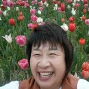 킹콩이농장