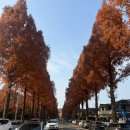 달사냥인형뽑기 | 12월 둘째주 _ 올해도 어김없는 트리사냥🎄🎅🏻