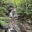 법천가든 | 2022년 7월 7월, 지리산천왕봉 산행(중산리원점회귀 응용코스:중산장터길로 천왕봉 등반)-연하봉,중봉...