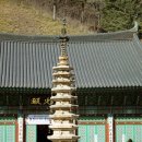 월정사 - 1357 | 월정사