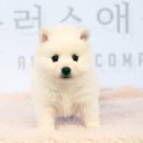 간석3동-14 이미지