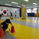 경희 라이온 태권도장 이미지