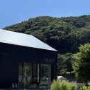 마암 | 통창에 숲을 담다, 감각적인 공주 카페 마암 내돈내산 후기