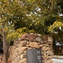 노고마주 | 구례 한옥독채 노고마주 기와 숙박 후기 커플 감성숙소 추천