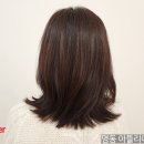 에스터미용실 - 경주시 | 에스터미용실