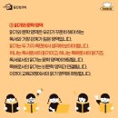 나진초등학교 이미지