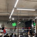 바운스복싱 이미지